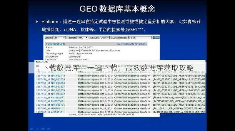 下载数据库