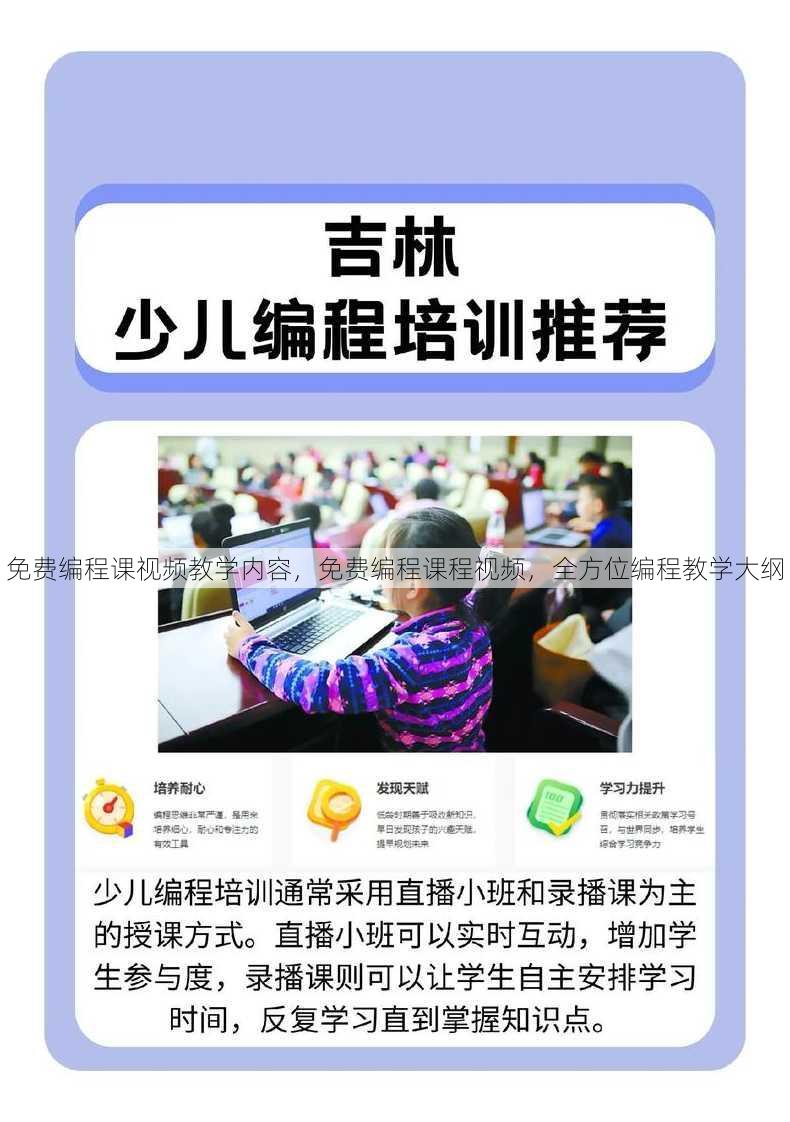 免费编程课视频教学内容