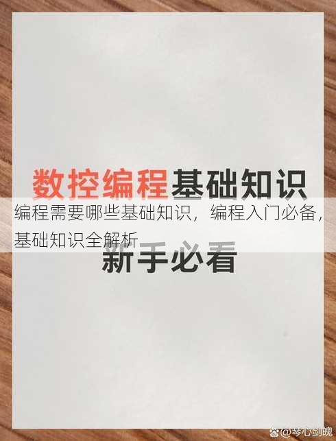 编程需要哪些基础知识
