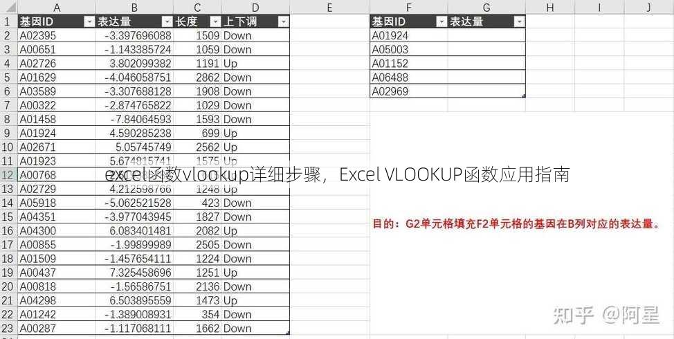 excel函数vlookup详细步骤