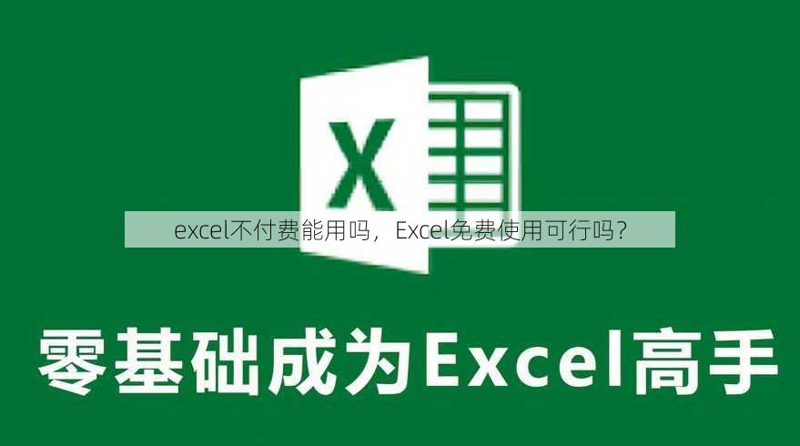 excel不付费能用吗