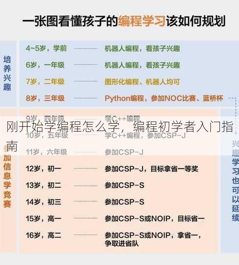 刚开始学编程怎么学