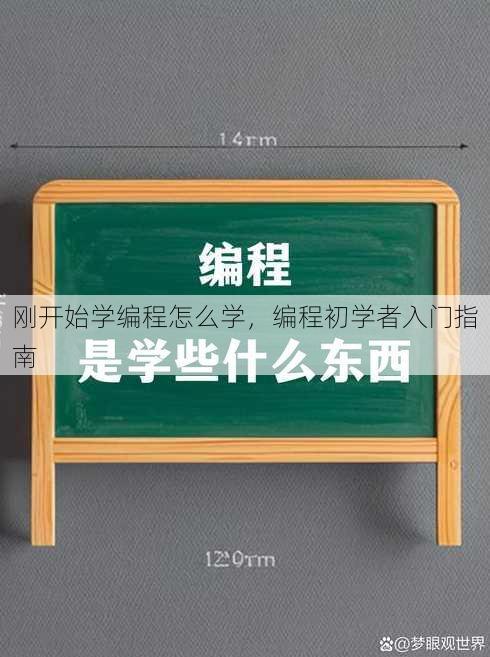 刚开始学编程怎么学