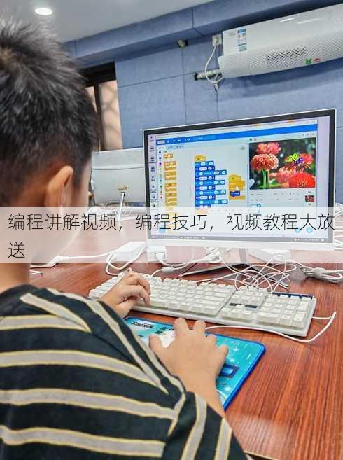 编程讲解视频