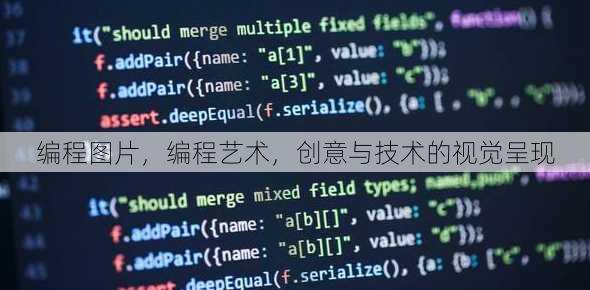 编程图片