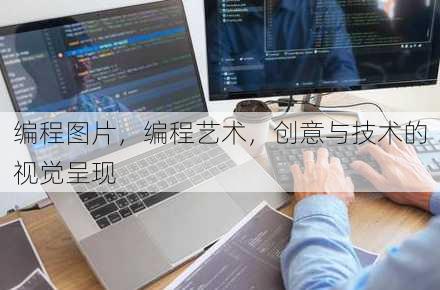 编程图片