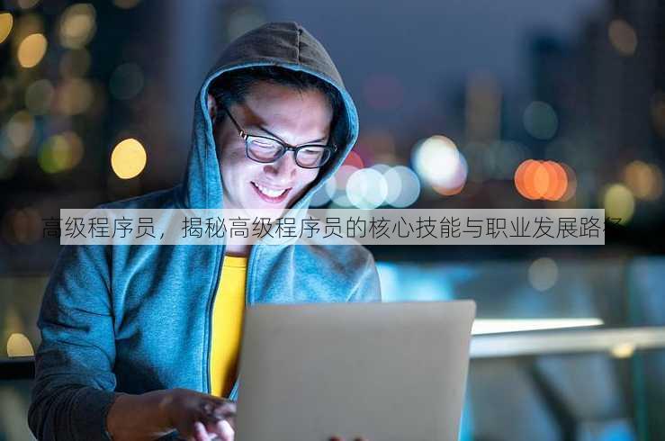 高级程序员