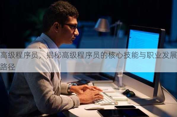 高级程序员