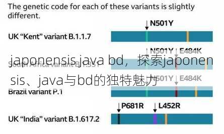 japonensis java bd