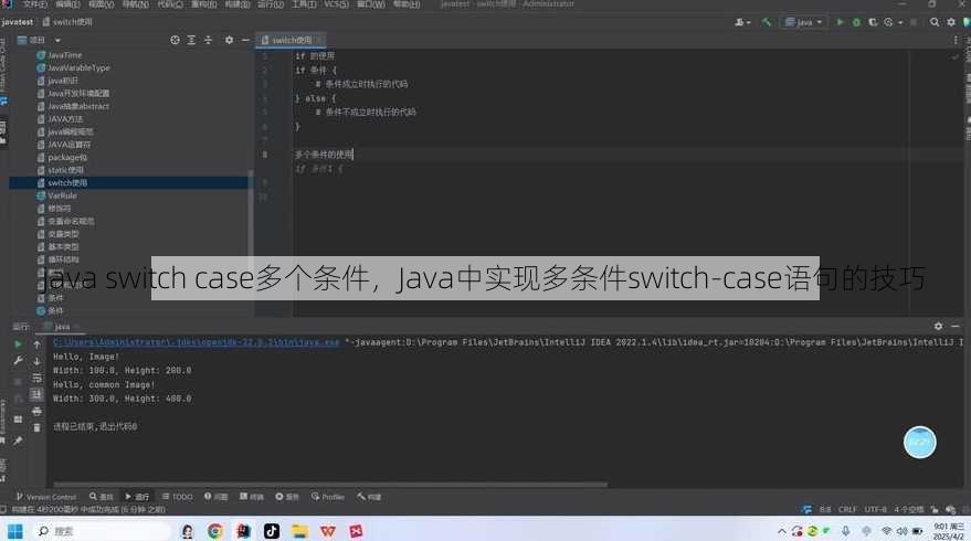 java switch case多个条件