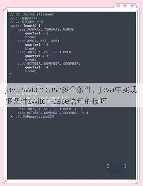java switch case多个条件