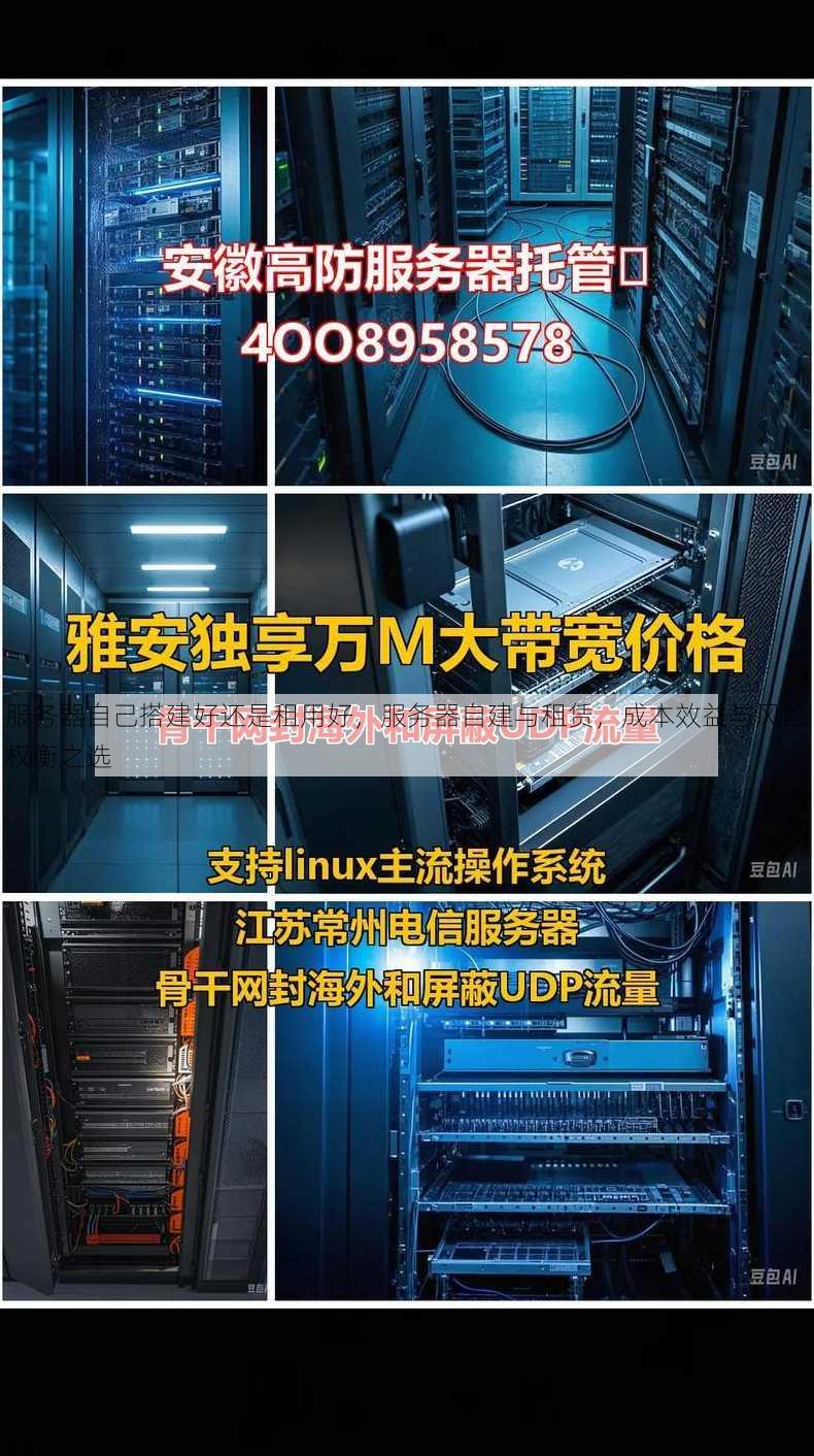 服务器自己搭建好还是租用好
