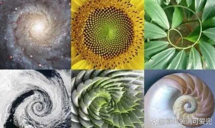 欧拉函数数列的前10项（欧拉函数前100项）