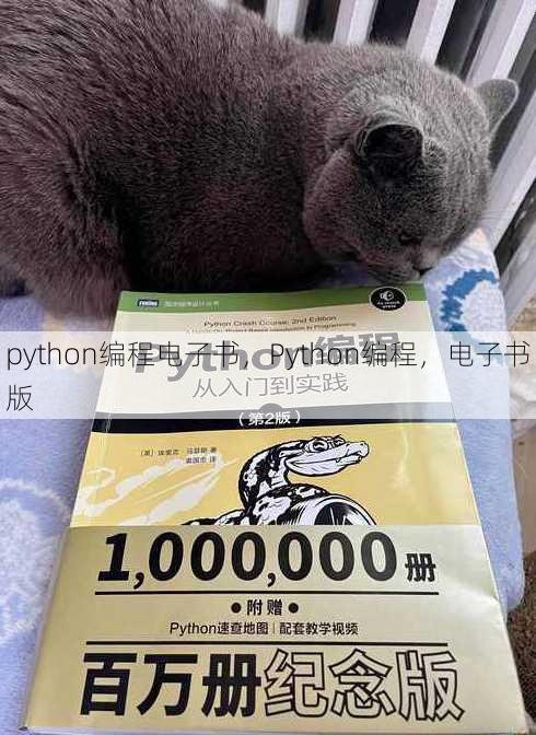 python编程电子书