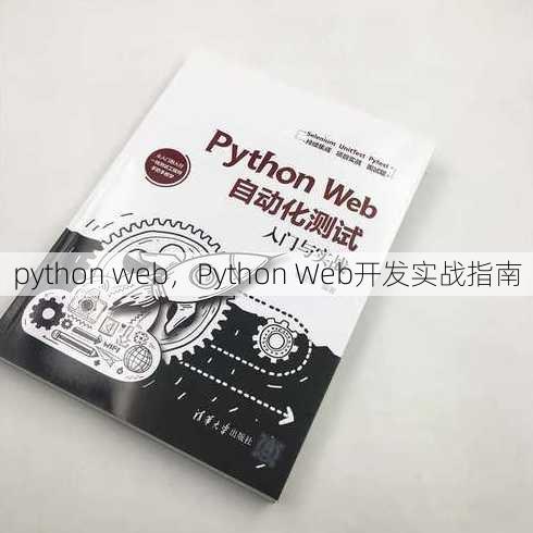 python web