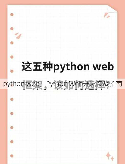 python web
