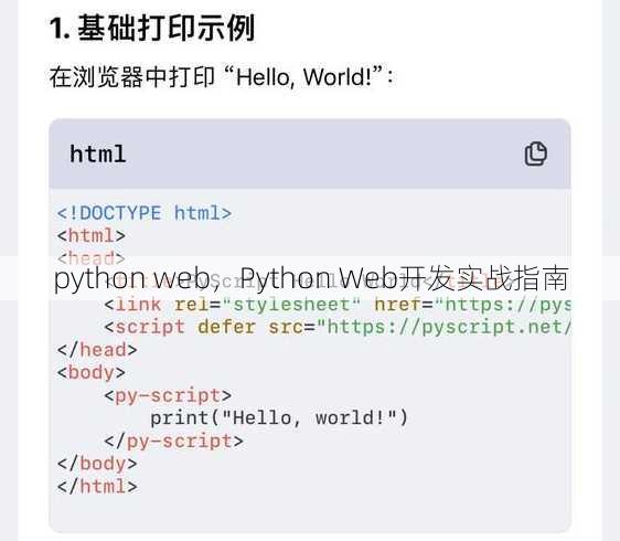 python web