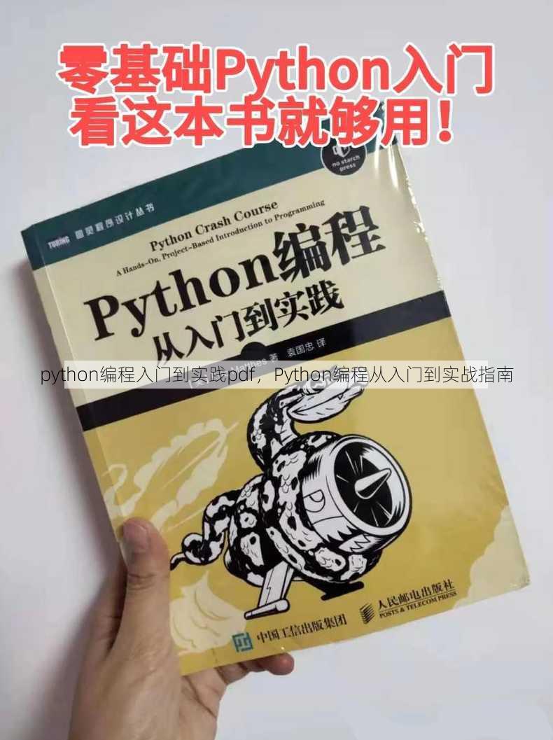 python编程入门到实践pdf