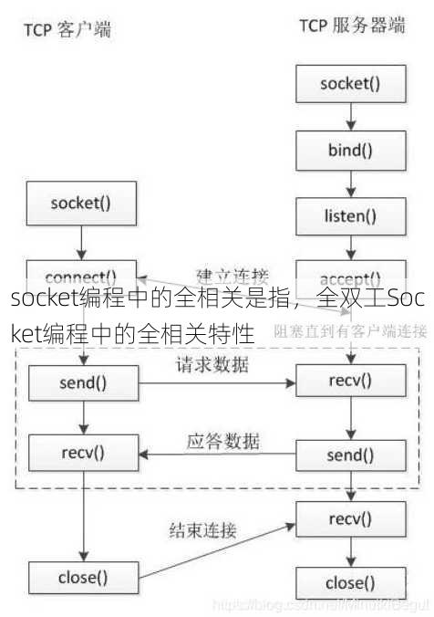 socket编程中的全相关是指