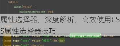 属性选择器