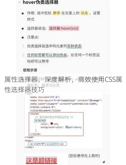 属性选择器