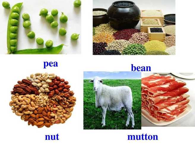 bean和beans的区别（bean与soy区别）
