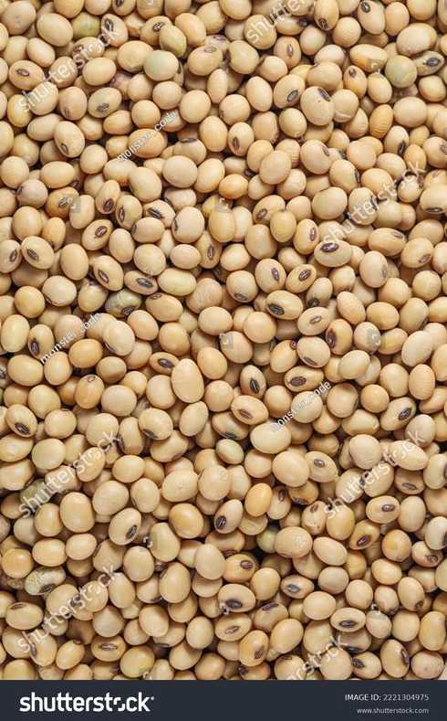 bean和beans的区别（bean与soy区别）