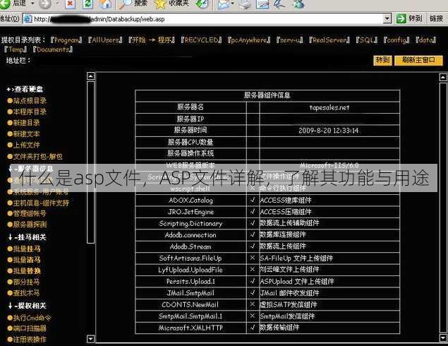 什么是asp文件