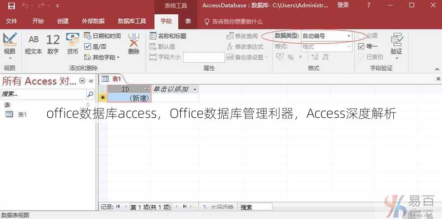 office数据库access