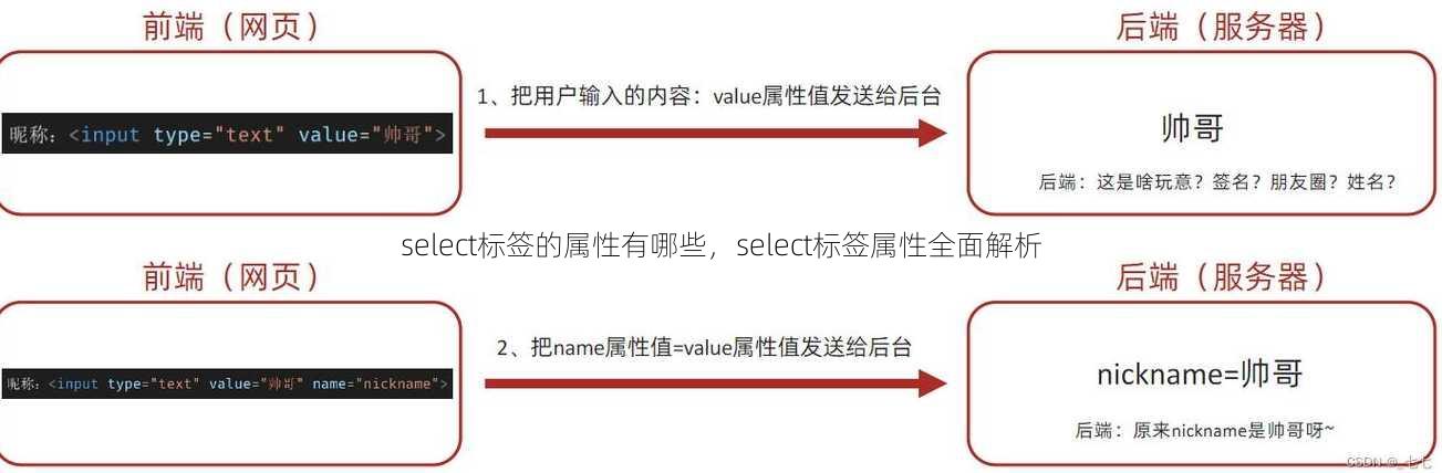 select标签的属性有哪些