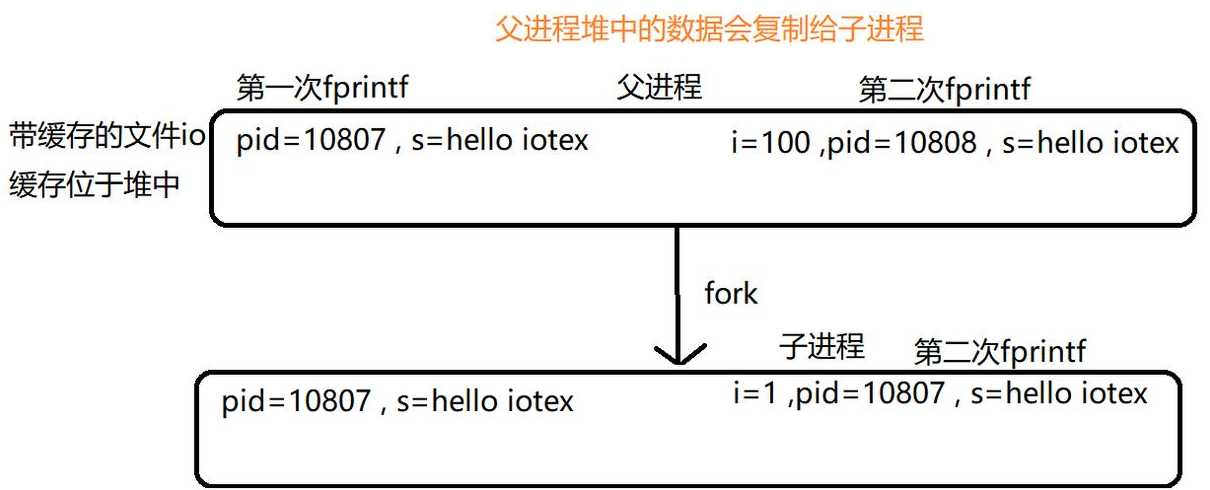 fork函数执行顺序（fork函数）