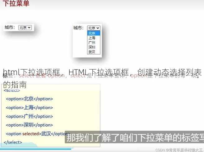 html下拉选项框