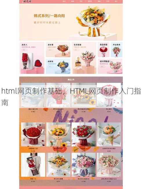 html网页制作基础