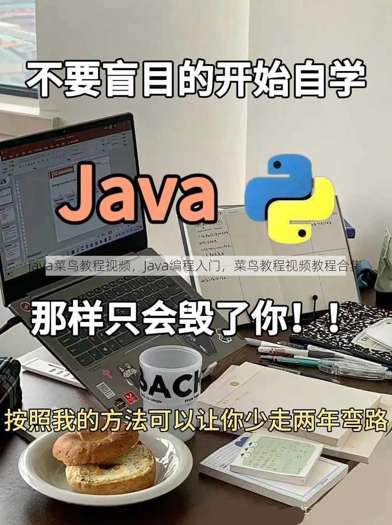 java菜鸟教程视频