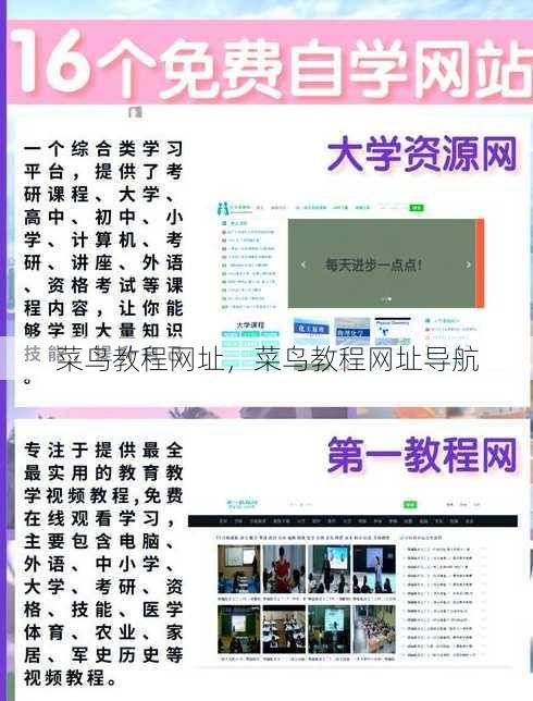 菜鸟教程网址