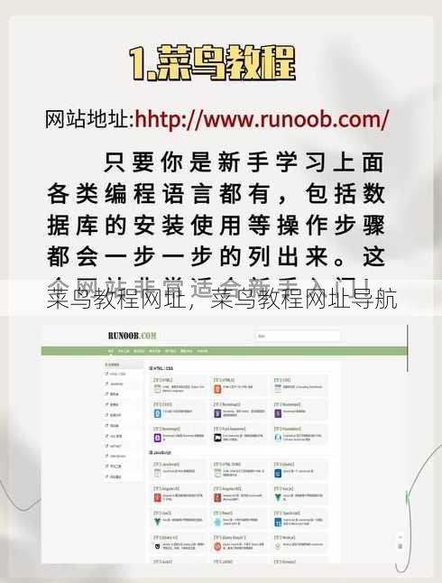 菜鸟教程网址