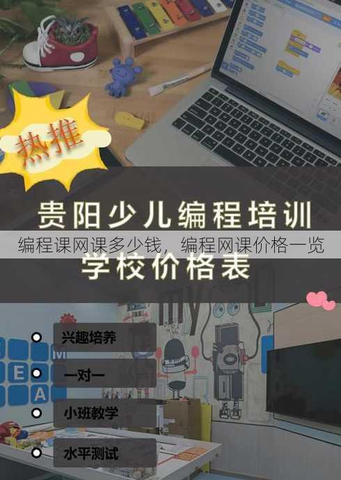 编程课网课多少钱