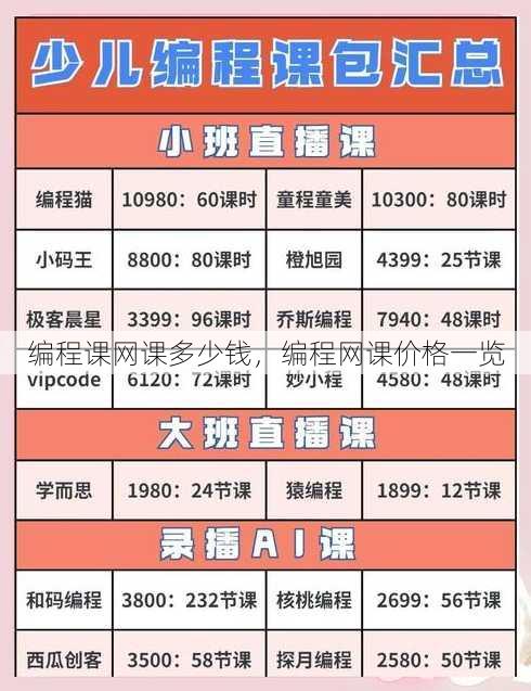 编程课网课多少钱