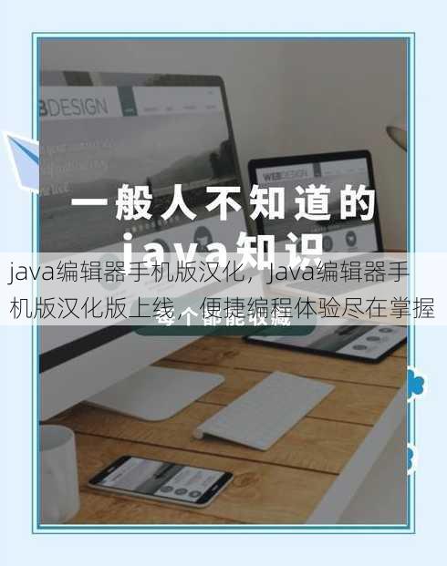 java编辑器手机版汉化