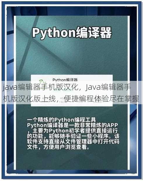 java编辑器手机版汉化