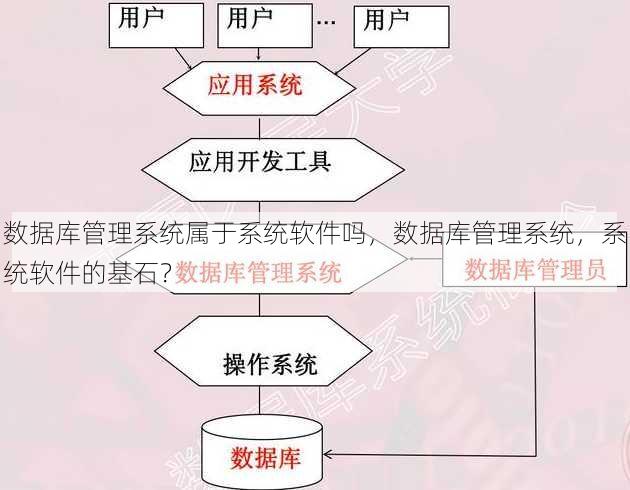 数据库管理系统属于系统软件吗