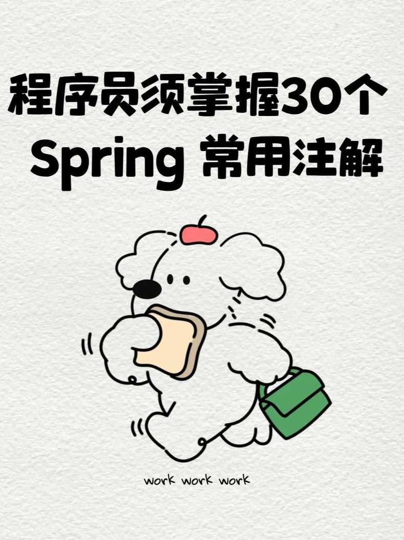 javaspring是什么意思（spring是java吗）