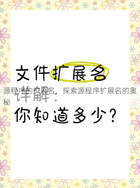 源程序的扩展名