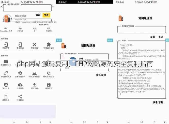 php网站源码复制