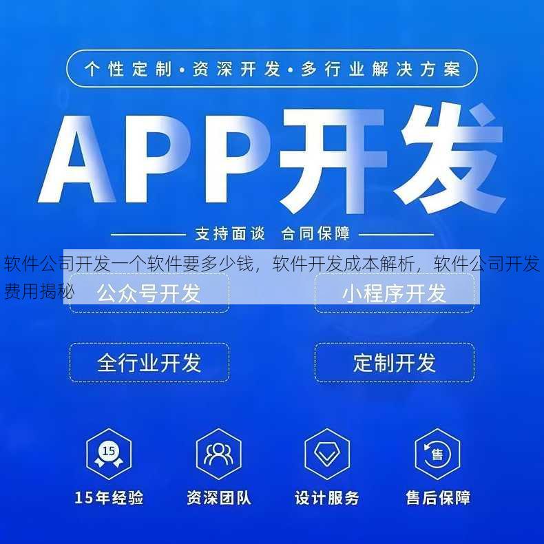 软件公司开发一个软件要多少钱