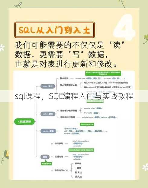 sql课程