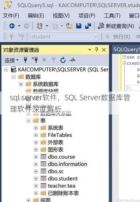 sql server软件