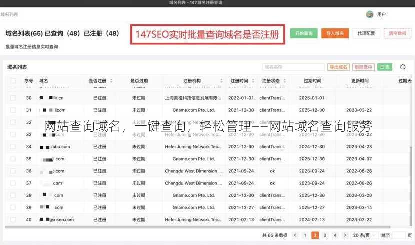 网站查询域名