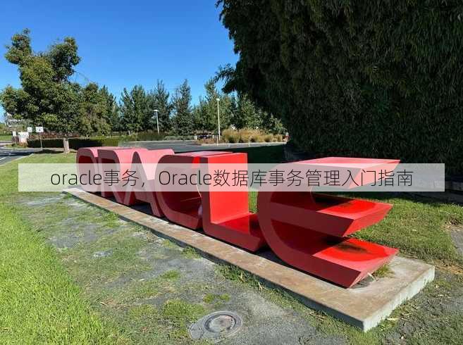 oracle事务