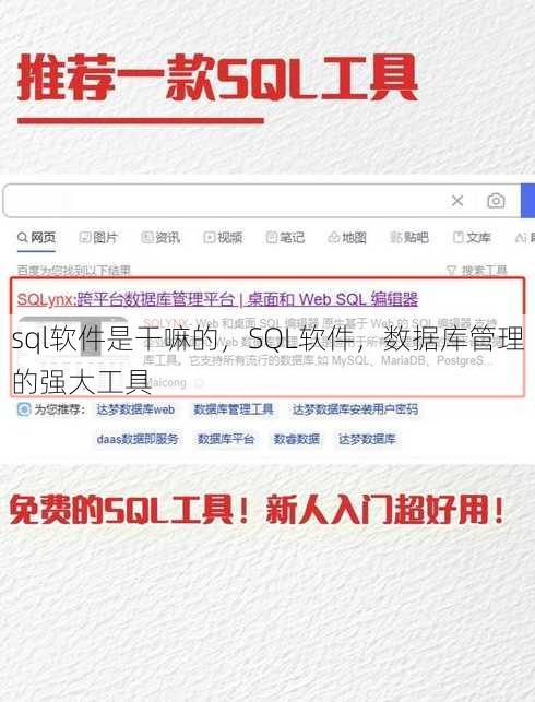 sql软件是干嘛的